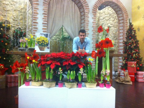 I’m speaking Italian (or am I?)