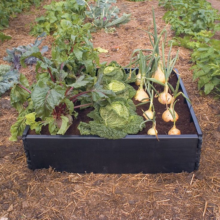 Grow your own fitness