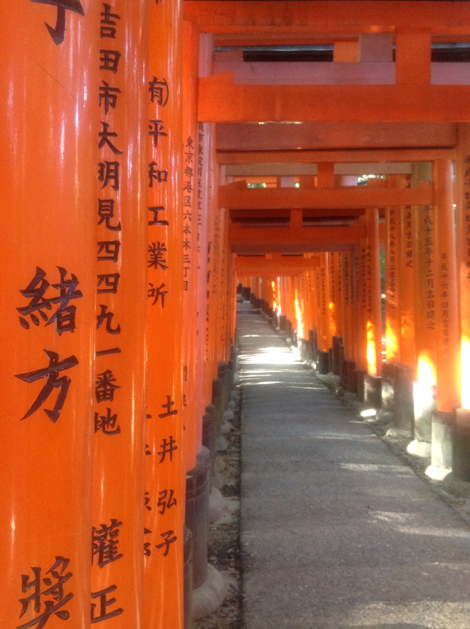 Japan 14. (Tokyo 2)