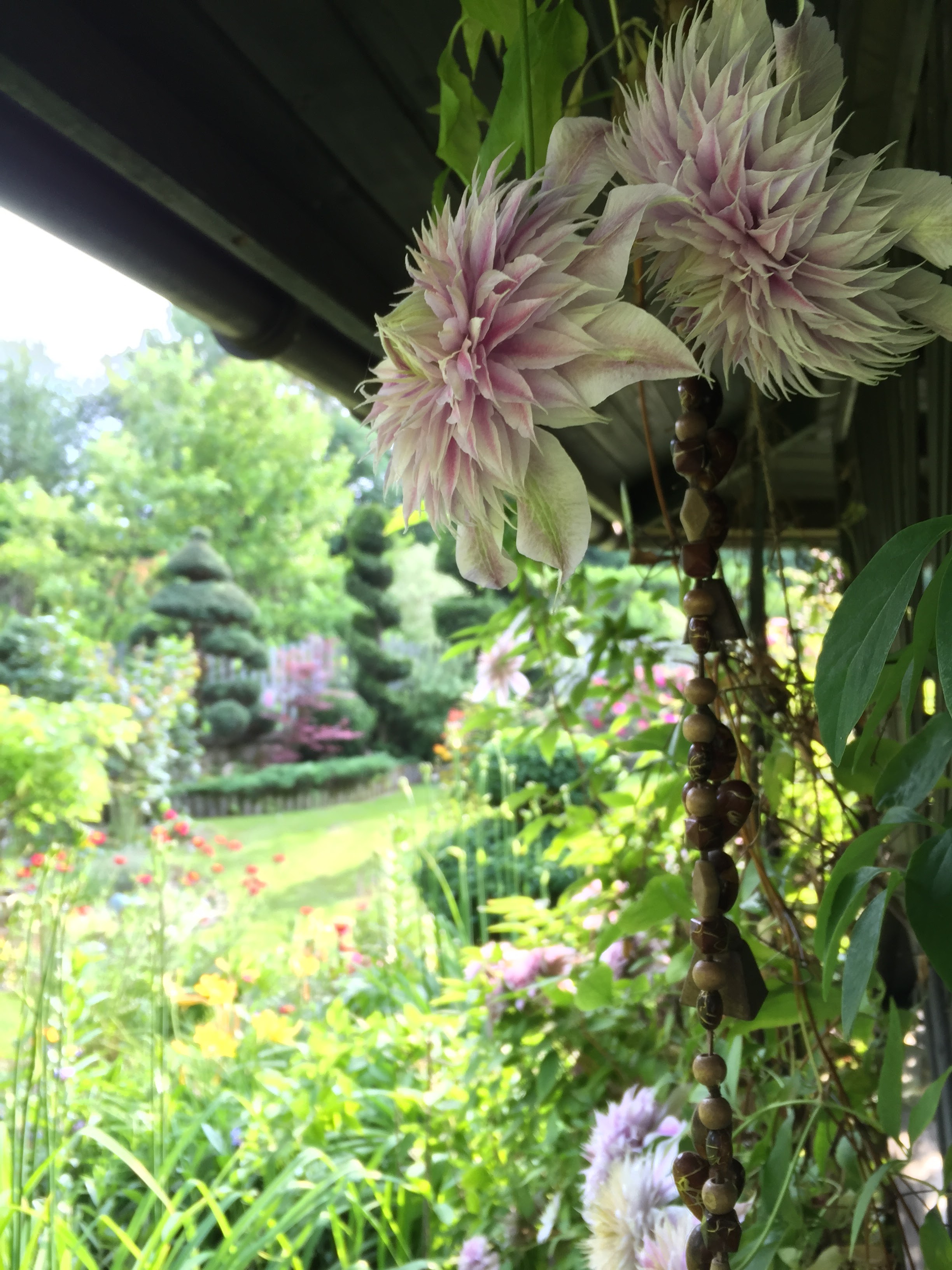 Bernadeta Czaniecka, Bielsko-Biala, Poland: just like a show garden