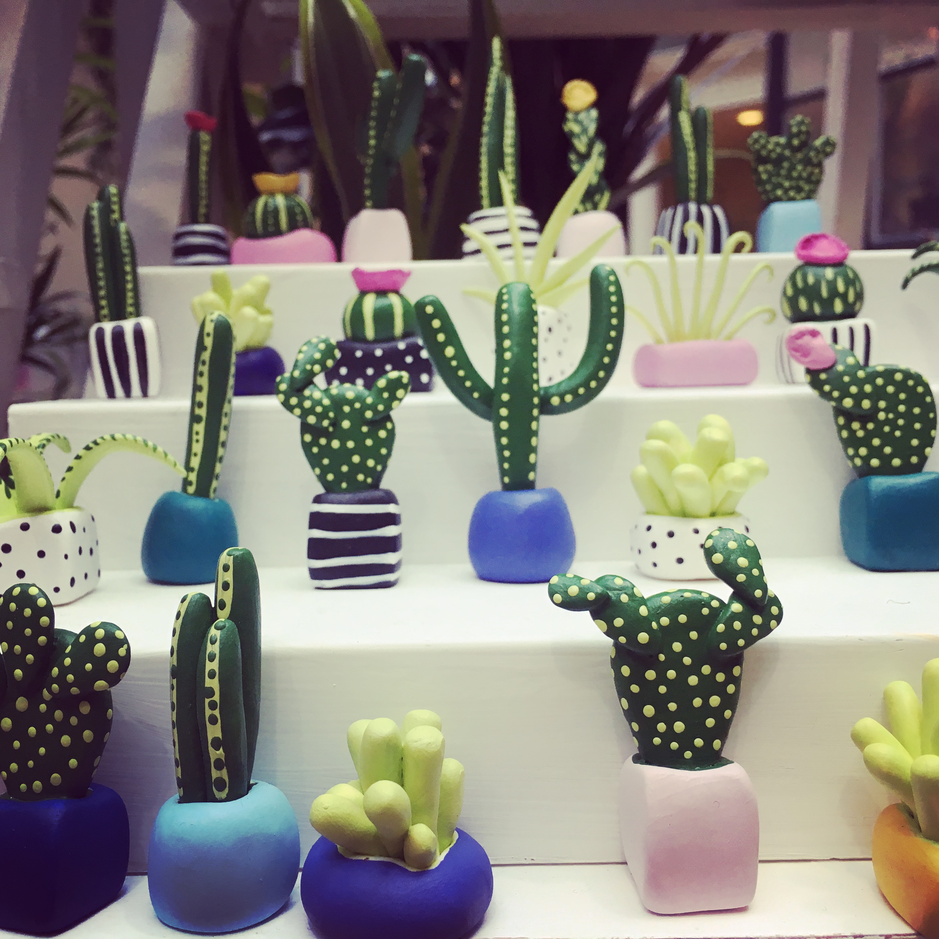 The RHS Urban Garden Show: the plant show for everyone