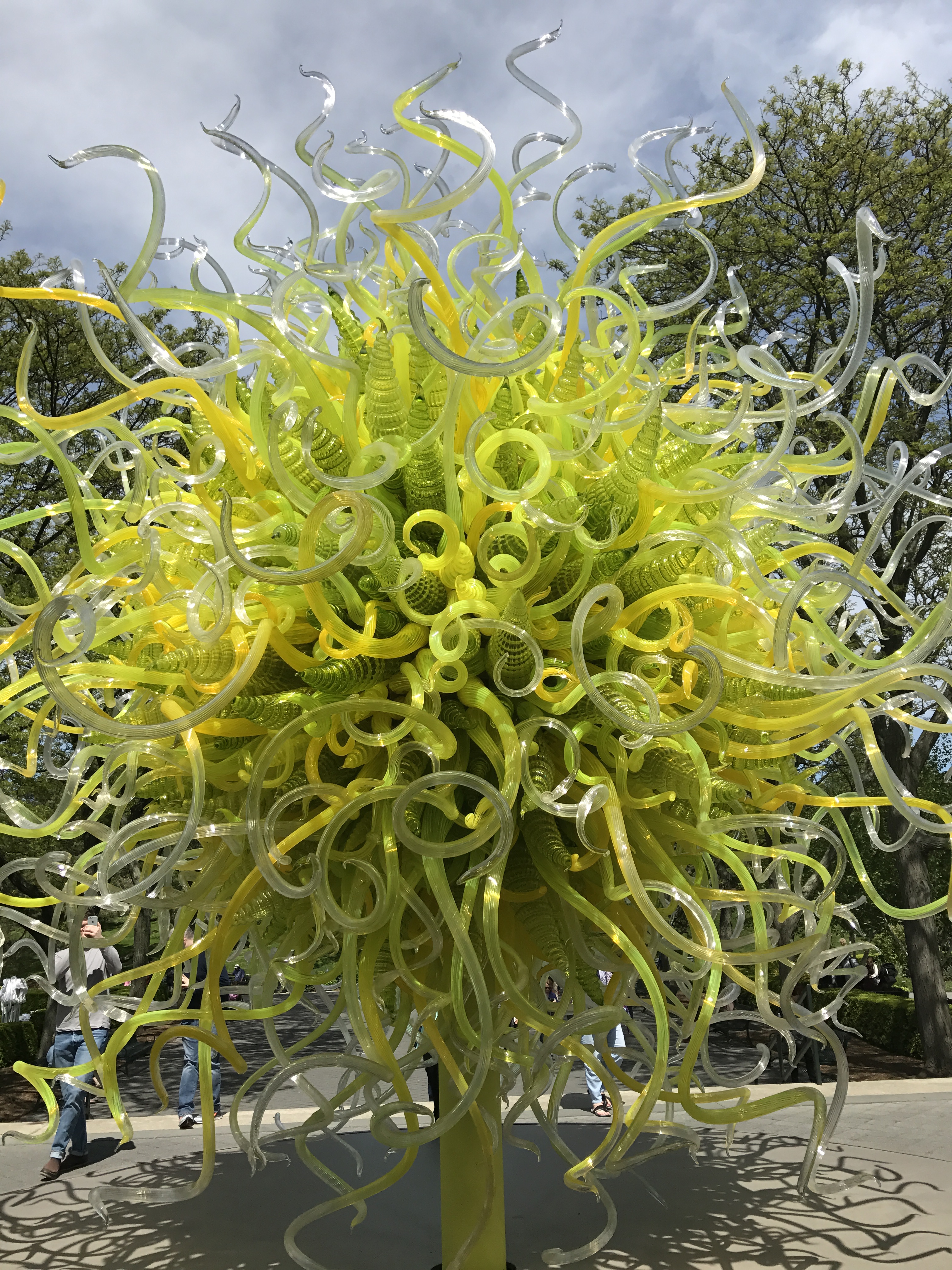 What’s this Chihuly thing then?