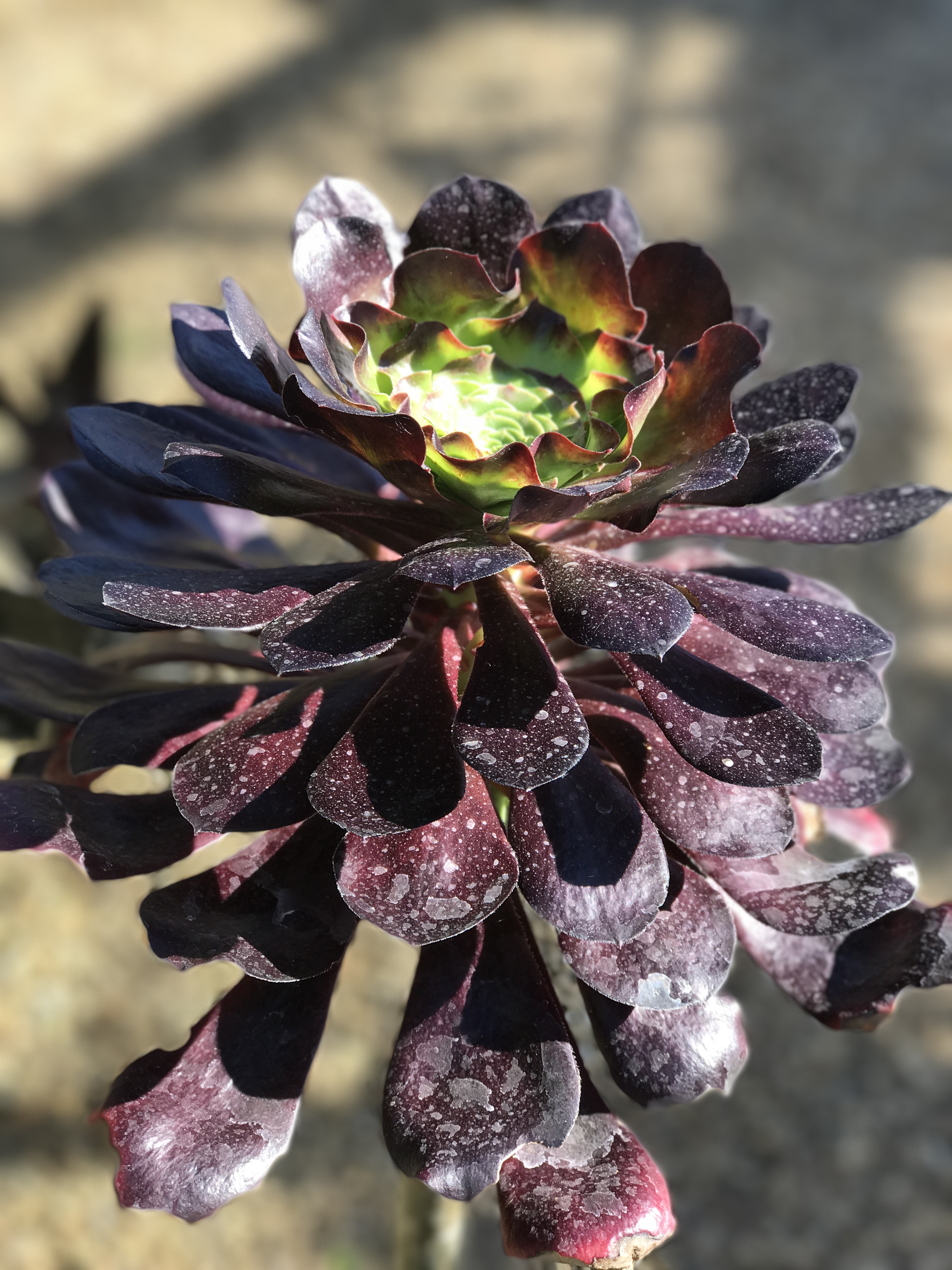 A surprise gem in the heart of the Norfolk countryside