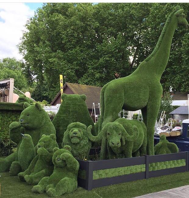 Story of the most photographed creations of Chelsea Flower Show