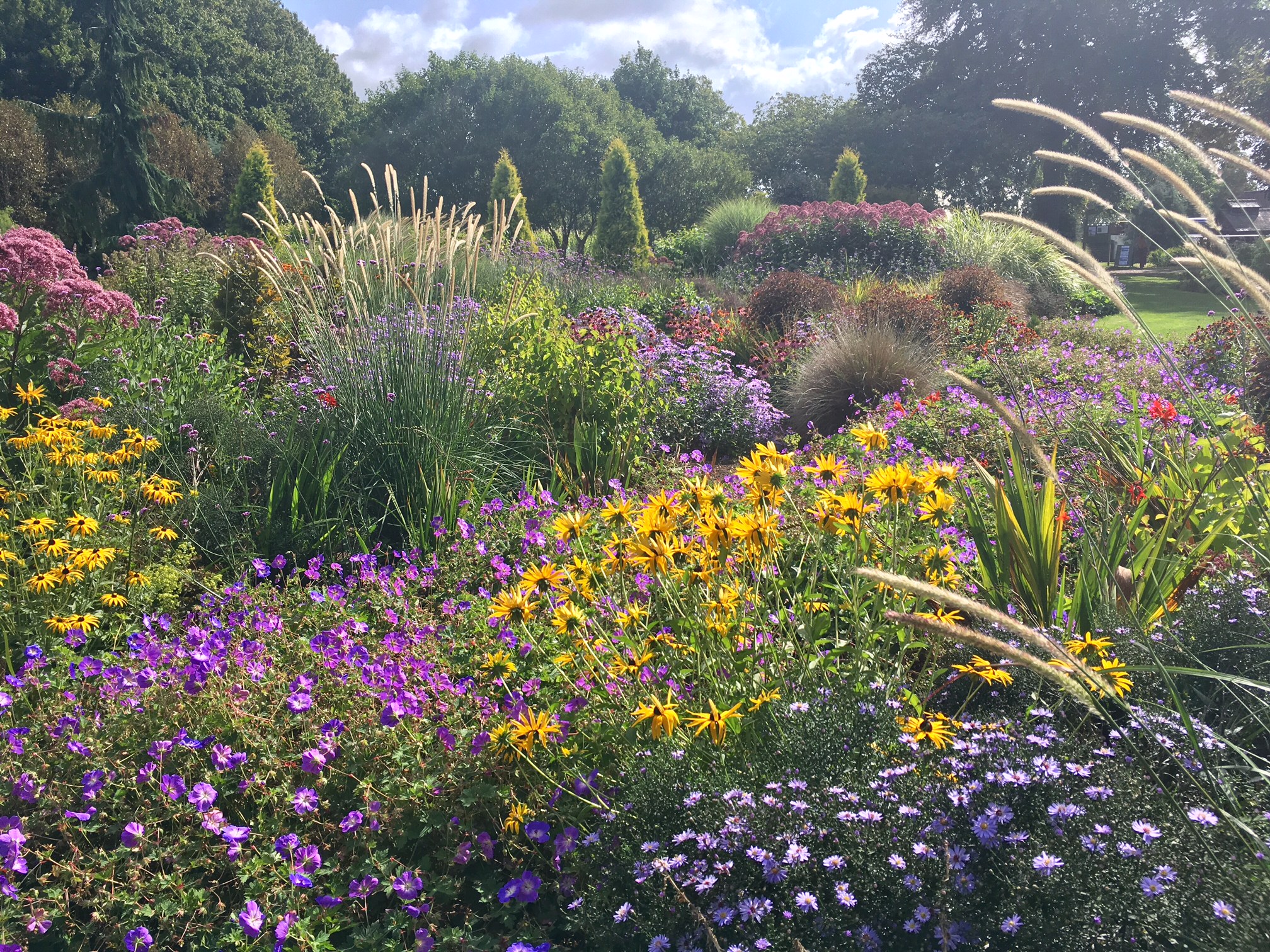 Here’s proof of the power of plants and enthusiasm