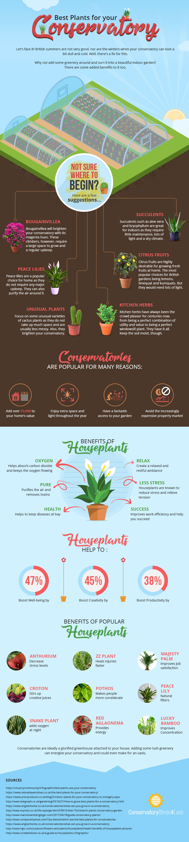 House plants The best indoor plants for your office