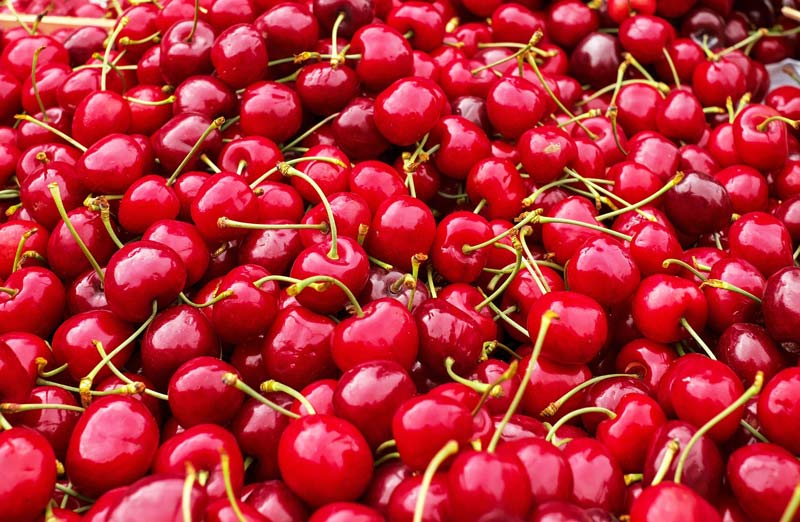 Gardening jobs for August: Prune cherries and plums