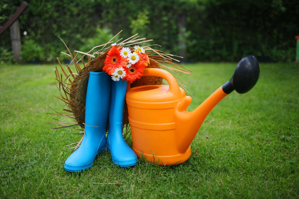 What’s going on at BBC Gardeners’ World Live 2018?