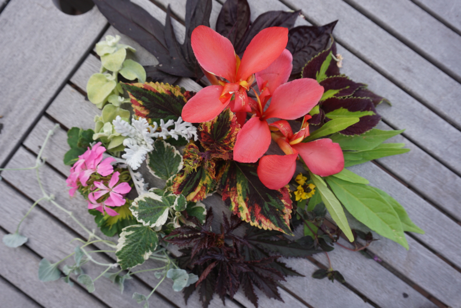 2019 planting trends