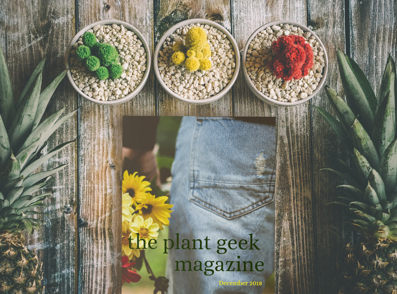 Your December Plant Geek magazine is here!