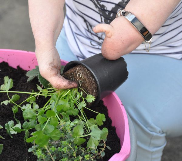 Accessible gardening: The Two Fingered Gardener, Niki Preston