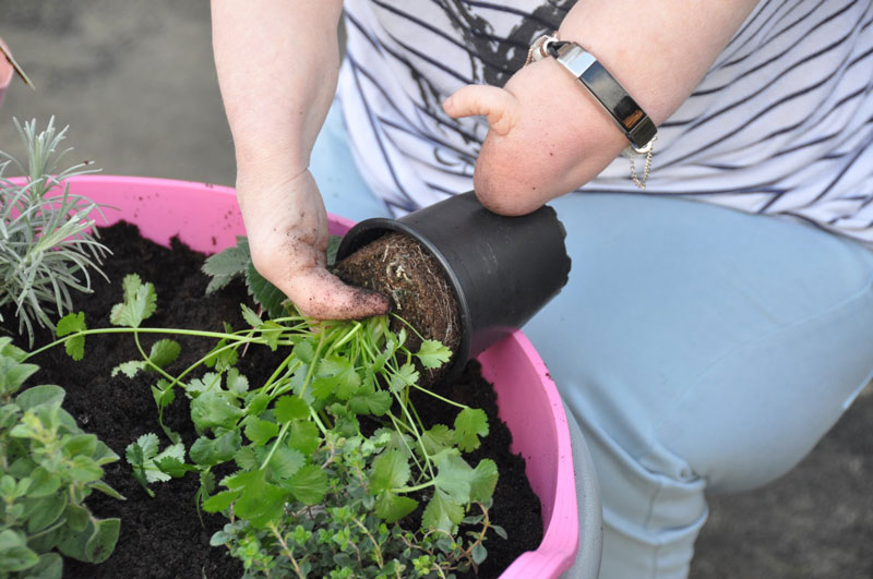 Accessible gardening, what’s it all about?