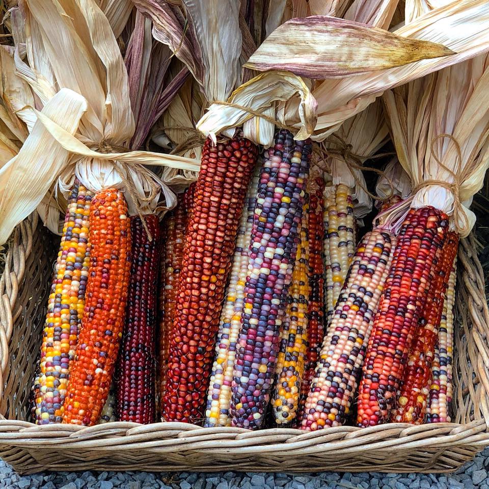 9 inspiring gardening take-homes from Canada