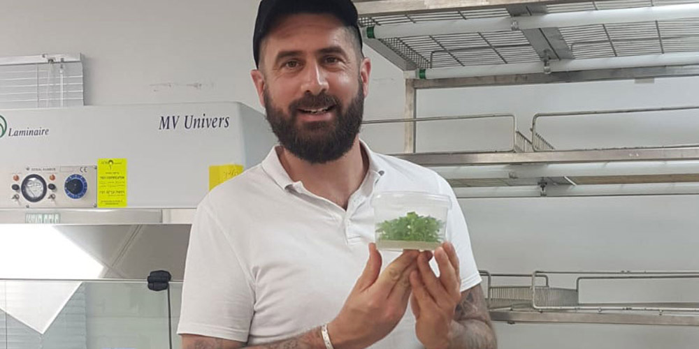 How new plants are made