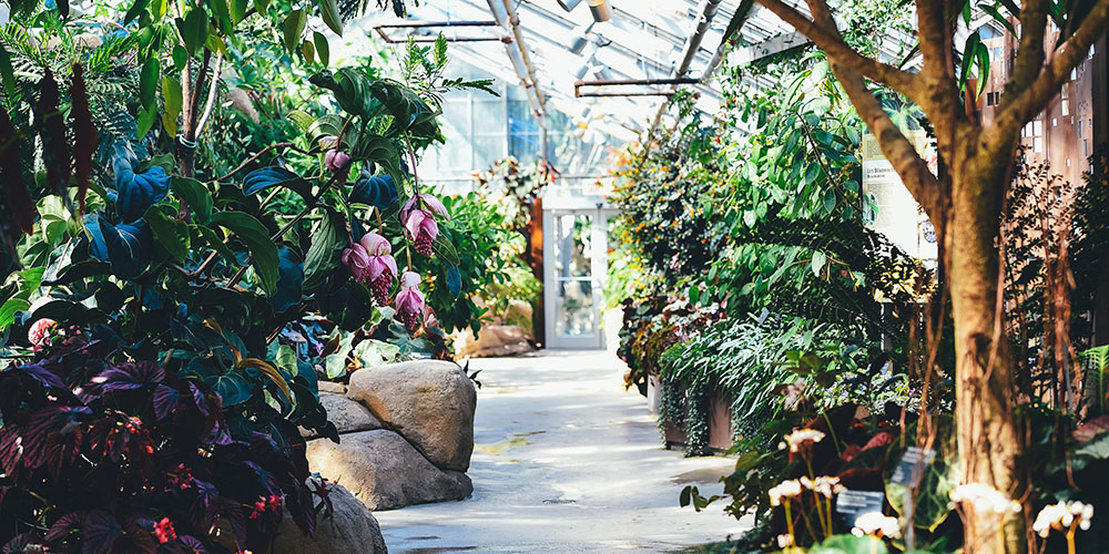 Support your British independent nurseries