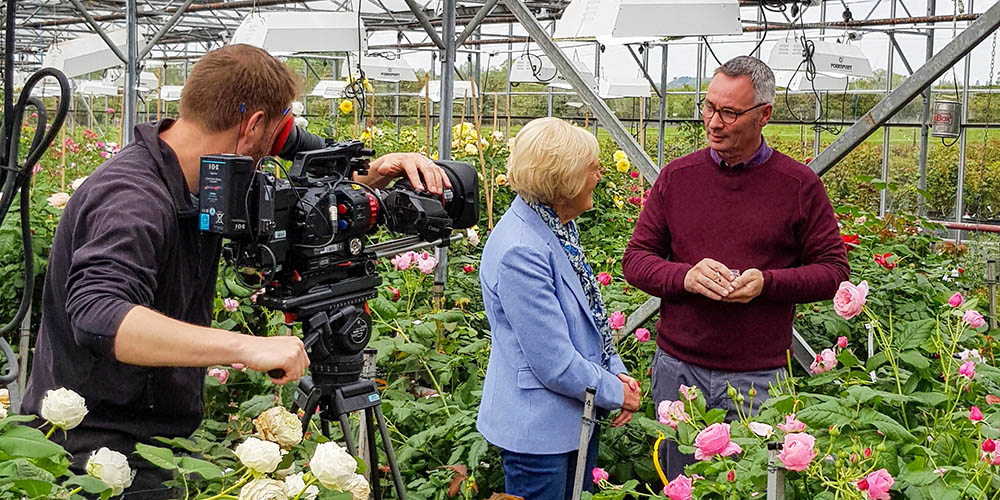 The three Ps of the Chelsea Flower Show – plants, planning and press
