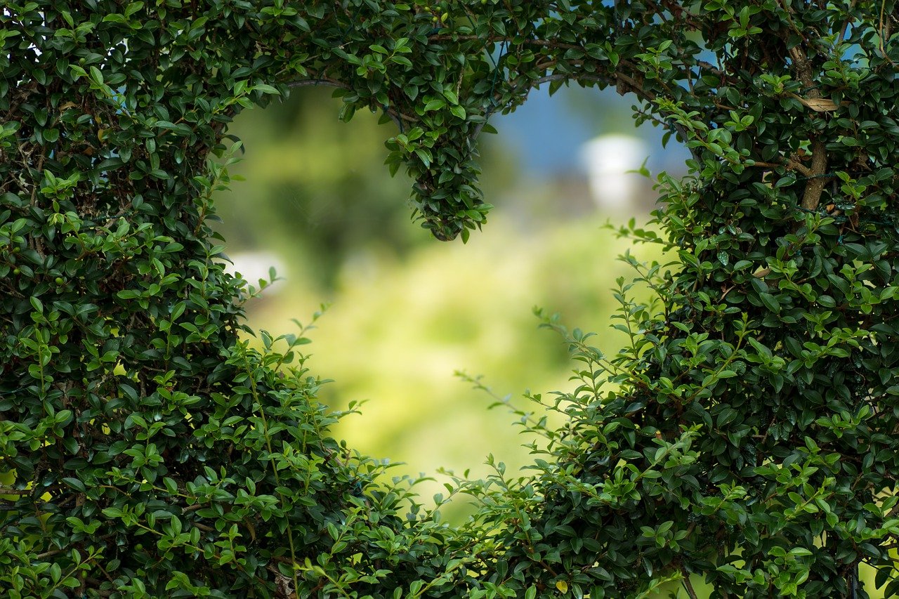 5 ways we’ll use our gardens differently after lockdown
