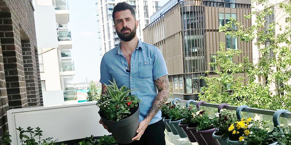 City garden feature image