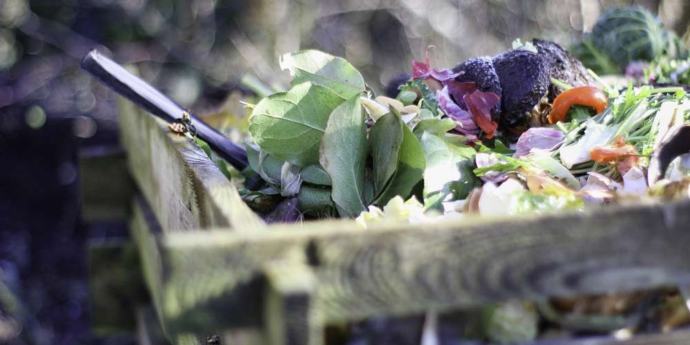 WTF is composting?