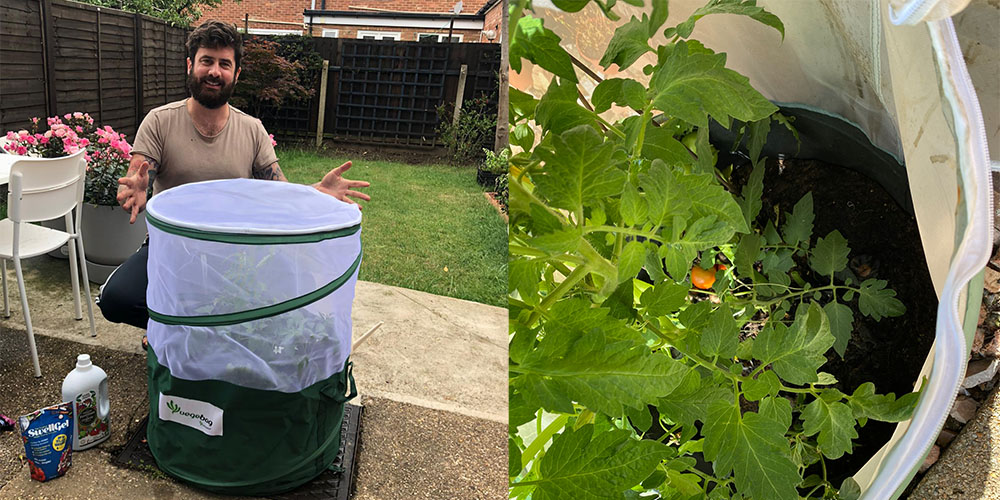 Vegebag feature image