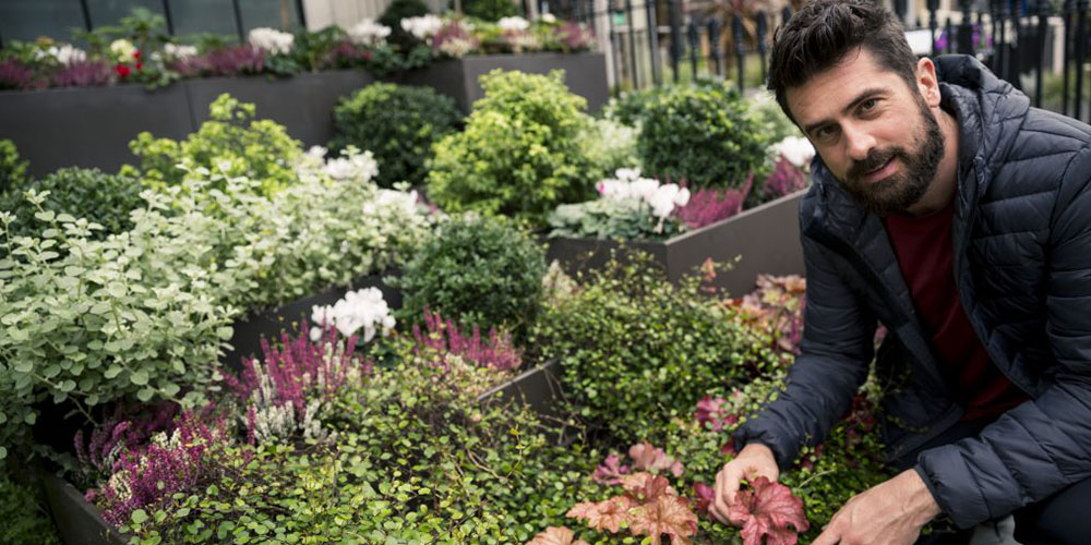 Top 10 Mr Plant Geek articles 2020