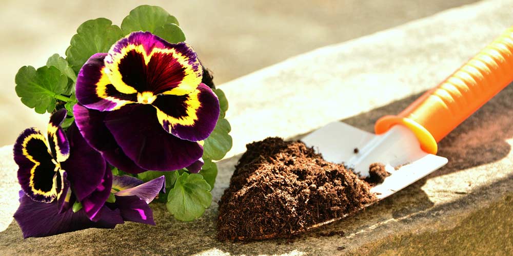 Let’s talk about the problem of cheap compost
