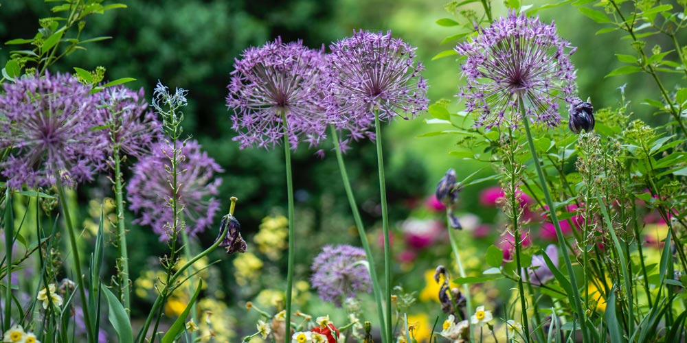 What do you expect from your land?