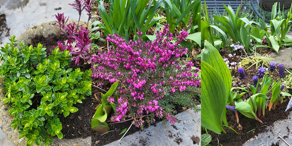 Is your garden bee ready this spring?