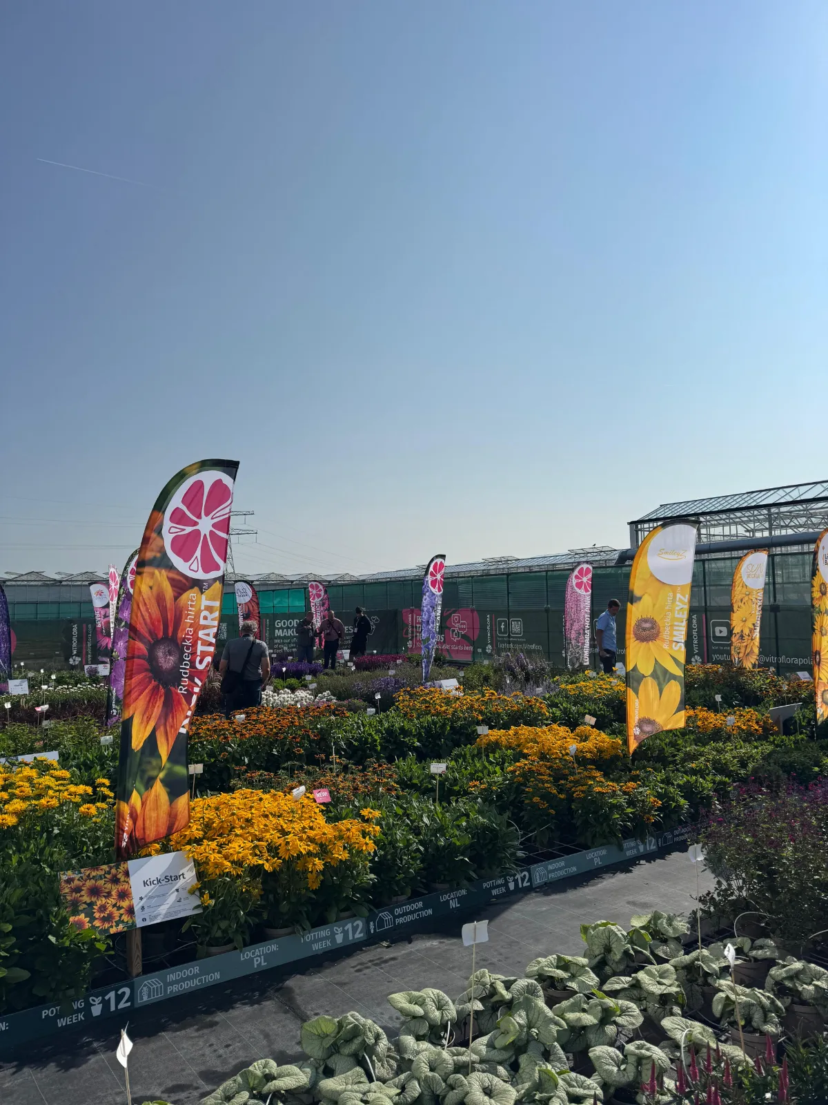 Visiting the FlowerTrials®: How to make the most of your trip